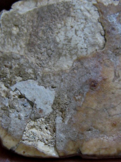 พระพิมพ์ทรงครุฑใหญ่ กรุวัดคู้สลอด จ.อยุธยา ครึ่งองค์ล่าง อาศัยพุทธคุณได้