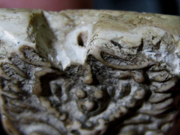 พระพิมพ์ทรงครุฑใหญ่ กรุวัดคู้สลอด จ.อยุธยา ครึ่งองค์ล่าง อาศัยพุทธคุณได้