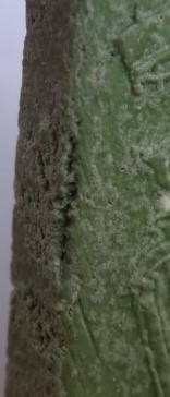 พระผงหลวงพ่อเณร วัดทุ่งเศรษฐี รุ่นเสาร์5เงินมาห้าพันล้าน หลวงปู่หมุนเสกเคาะเดียว3องค์450