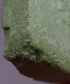 พระผงหลวงพ่อเณร วัดทุ่งเศรษฐี รุ่นเสาร์5เงินมาห้าพันล้าน หลวงปู่หมุนเสกเคาะเดียว3องค์450