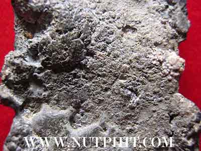 พระโคนสมอเนื้อชินเชียวปางมารวิชัย(พระพุทธชินราช)+บัตรรับรองพระแท้*114