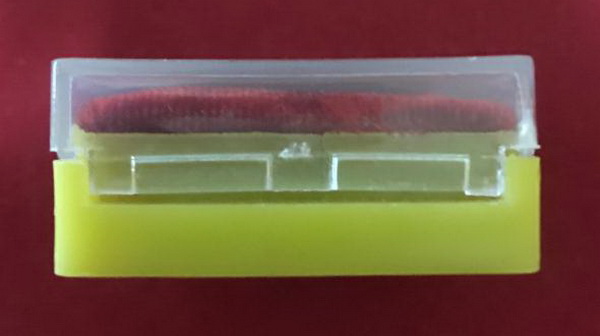 สมเด็จวัดระฆัง 100ปี พิมพ์ใหญ่ ไข่ปลาเลือน หลังตรายางกล่องCosmo สภาพเยี่ยม พร้อมบัตรพระแท้