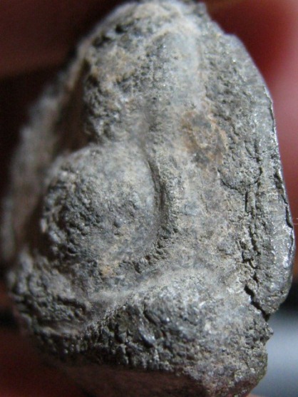 พระสังขจายย์ เนื้อชินเงิน จ.สุโขทัย ดูง่าย มีบัตรรับรองความแท้ให้ 1 ใบ