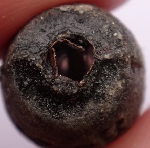 ลูกสะกด สุริยุปราคา หลวงพ่อเกษม ปี 38 เคาะเดียว2ลูก