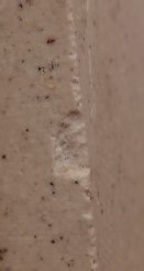 สมเด็จย้อนยุค หลวงปู่ภู วัดอินทรวิหาร ปี35 14พิมพ์ เคาะเดียว