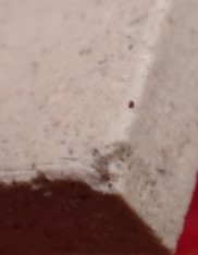 สมเด็จย้อนยุค หลวงปู่ภู วัดอินทรวิหาร ปี35 14พิมพ์ เคาะเดียว