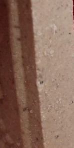 สมเด็จย้อนยุค หลวงปู่ภู วัดอินทรวิหาร ปี35 14พิมพ์ เคาะเดียว