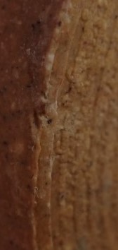 พระผงหลวงพ่อโสธร วัดท่าขนุน เสาร์5 ปี50 7องค์ แถมพระผงหลวงพ่อเงินไหลมา เคาะเดียว