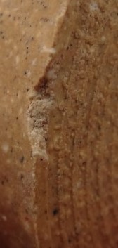 พระผงหลวงพ่อโสธร วัดท่าขนุน เสาร์5 ปี50 7องค์ แถมพระผงหลวงพ่อเงินไหลมา เคาะเดียว