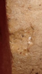 พระผงหลวงพ่อโสธร วัดท่าขนุน เสาร์5 ปี50 7องค์ แถมพระผงหลวงพ่อเงินไหลมา เคาะเดียว