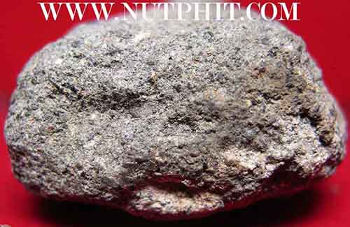 หลวงปู่ทวด วัดช้างให้ ปี 2497 พิมพ์กลาง+ บัตรรับรองพระแท้ *18