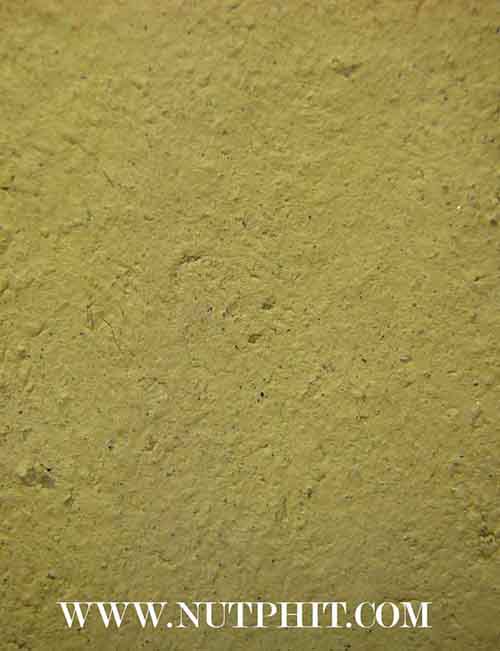 พระชินราช พิมพ์ใหญ่ วัดพระบรมธาตุวรมหาวิหาร มหาพุทธาภิเษก 24 ก.พ.23 นครศรีฯ*31