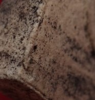 ขุนแผนวัดหลักเมือง ปี41 หลวงปู่หมุนร่วมเสก เคาะเดียว