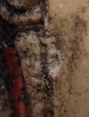 ขุนแผนวัดหลักเมือง ปี41 หลวงปู่หมุนร่วมเสก เกษาเพียบ เคาะเดียว