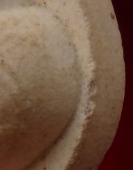 ปิดตาหลวงปู่โต๊ะ วัดประดู่ฉิมพลี รุ่น 111 ปี +พิมพ์เล็กไม่ทราบรุ่น  เคาะเดียว50