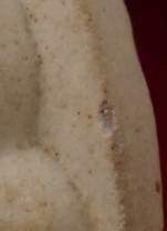 ปิดตาหลวงปู่โต๊ะ วัดประดู่ฉิมพลี รุ่น 111 ปี +พิมพ์เล็กไม่ทราบรุ่น  เคาะเดียว50