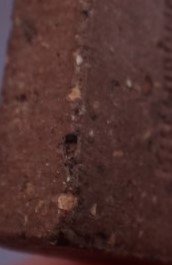 สมเด็จหลังเสือเผ่น หลวงพ่อเณร วัดทุ่งเศรษฐี รุ่นเสาร์ห้าเงินมาห้าพันล้าน หลวงปู่หมุนเสก เคาะเดียว