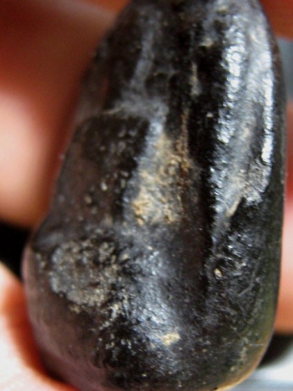 พระเกษาครูบาศรีวิชัย พิมพ์เล็บมือ เนื้อผงใบลาน จ.เชียงใหม่ พระดูง่าย