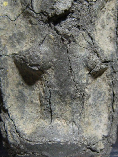 พระนารายณ์ เนื้อชินเงิน จ.ลพบุรี