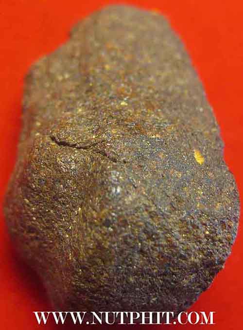 พระปิดตายุคแรก พิมพ์หยดน้ำ เนื้อเกสรผสมชานหมาก ลพ.คำพัน ปี 16 หายากมาก*86