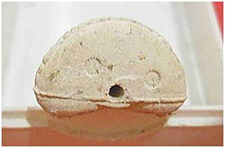 พระปิดตาหลวงปู่หมุน วัดบ้านจาน รุ่นไตรมาสรวยทันใจ ปี43 เนื้อผงงาช้างผสมผงกสิณ เนื้อขาวตอก 2 โค๊ต