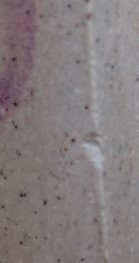 พระชุด 14 พิมพ์นิยม หลวงปู่ภู ปี 35 เคาะเดียว