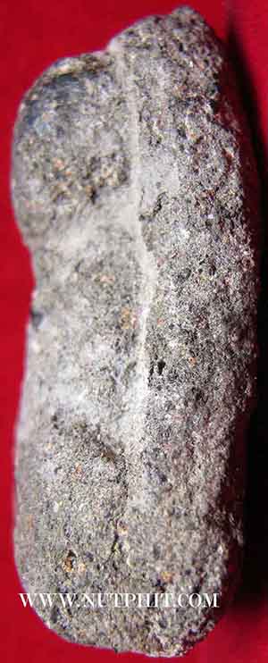 หลวงปู่ทวด วัดช้างให้ ปี 2497 พิมพ์กลาง+ บัตรรับรองพระแท้ *18