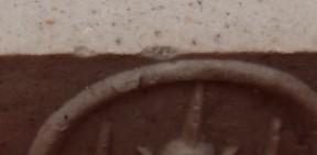 พระชุด 14 พิมพ์นิยม หลวงปู่ภู ปี 35 เคาะเดียว