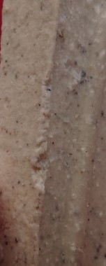 พระชุด 14 พิมพ์นิยม หลวงปู่ภู ปี 35 เคาะเดียว