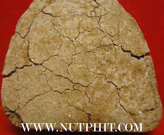 พระปิดตารุ่นแรก หลวงปู่มุม วัดปราสาทเยอร์ ศรีสะเกษ*121