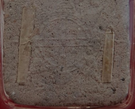 ขุนแผนบรมครู 32 หน้าพระประธาน ตะกรุดเงินคู่ เคาะเดียว650