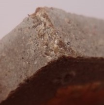 ชุดเสือ กรรมการ หลวงพ่อสมชายวัดปริวาส ปี59 รวม9องค์ เคาะเดียว400