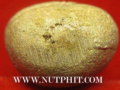 ชุดพระปิดตาล้มลุก หลวงปู่คำพันธ์ โฆษะปัญโญ ๗ องค์ รับประกันสวยกริ๊บยันกล่องทุกองค์*300