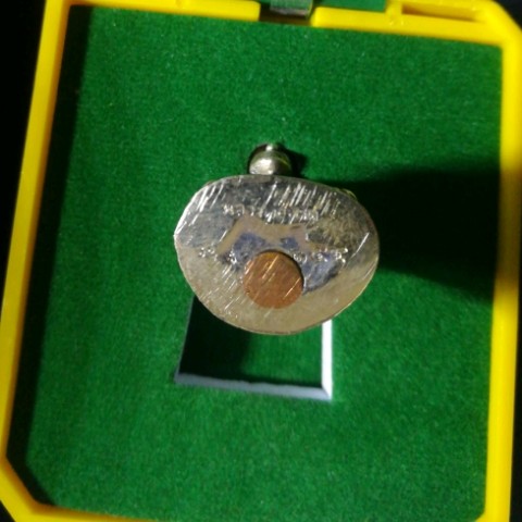 เหรียญหล่อเนื้ออัลปาก้าหลวงพ่อทวด พิมพ์เตารีด รุ่น100 ปี อาจารย์ทิม วัดช้างให้ พ.ศ.2555 