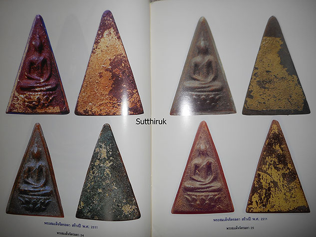 หนังสือ เรียนรู้ เจาะลึก สมเด็จจิตรลดา พระกำลังแผ่นดิน
