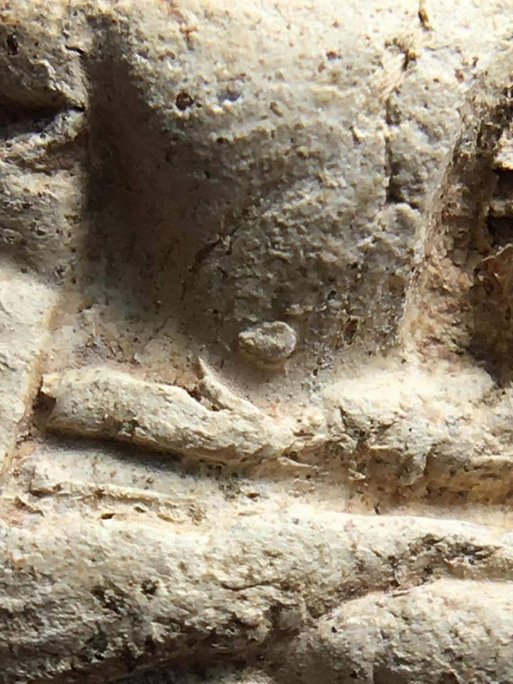 พระคงขาวองค์ล่ำหนา โพธิ์เด้ง กำไลข้อมือและเท้าพอเห็นชัด เม็ดบัวติดชัดมิติคมชัดลึก