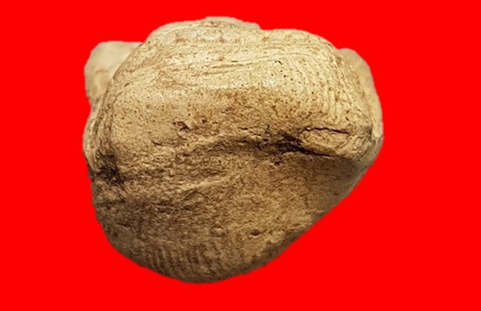 พระคงขาวองค์ล่ำหนา โพธิ์เด้ง กำไลข้อมือและเท้าพอเห็นชัด เม็ดบัวติดชัดมิติคมชัดลึก