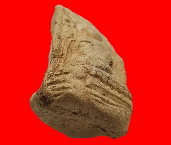 พระคงขาวองค์ล่ำหนา โพธิ์เด้ง กำไลข้อมือและเท้าพอเห็นชัด เม็ดบัวติดชัดมิติคมชัดลึก