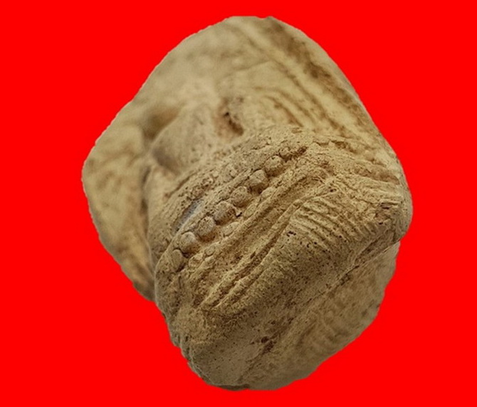 พระคงขาวองค์ล่ำหนา โพธิ์เด้ง กำไลข้อมือและเท้าพอเห็นชัด เม็ดบัวติดชัดมิติคมชัดลึก