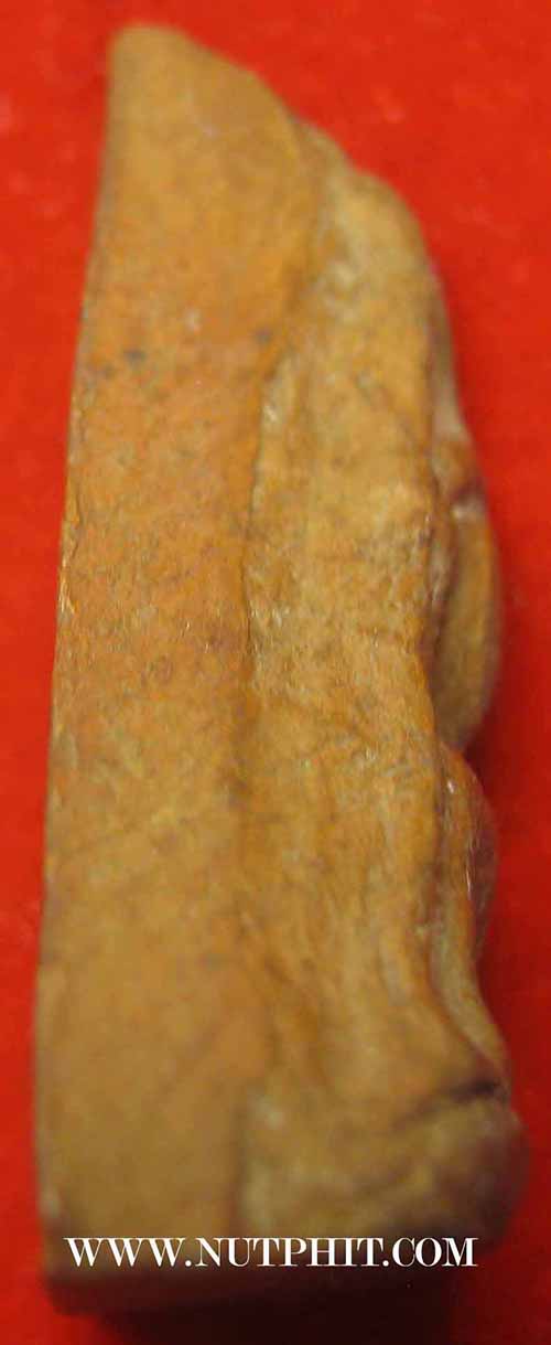 นางพญา ลป.โต๊ะ พิมพ์เทวดา พ.ศ.๒๔๗๔ สวยกริ๊บบบ+บัตรรับรองพระแท้*109