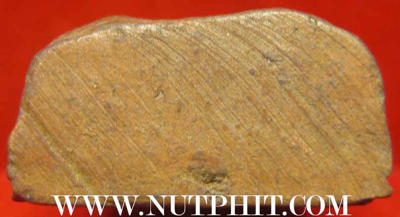 นางพญา ลป.โต๊ะ พิมพ์เทวดา พ.ศ.๒๔๗๔ สวยกริ๊บบบ+บัตรรับรองพระแท้*109