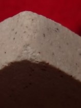 พระชุด 14 พิมพ์นิยม หลวงปู่ภู ปี 35 เคาะเดียว