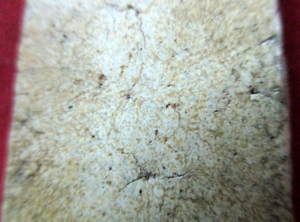 สมเด็จวัดระฆัง บล๊อคชาวบ้าน