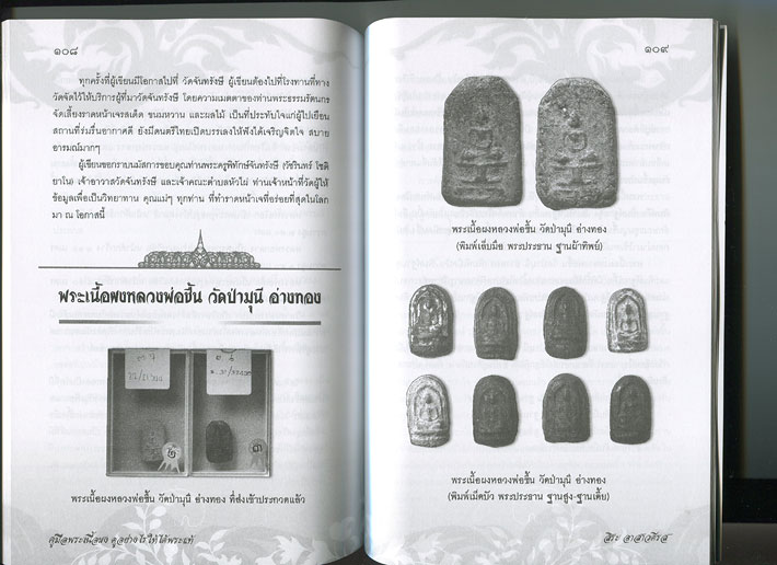 หนังสือ คู่มือ พระเนื้อผง ดูอย่างไรให้ได้พระแท้ (พระเครื่องเนื้อผงยอดนิยม) โดย สิระ อาสาวดีรส