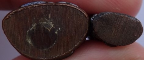 พระกริ่ง-ชัยวัฒน์ ไพรีพินาศ วัดบวรนิเวศ ปี50 เคาะเดียว