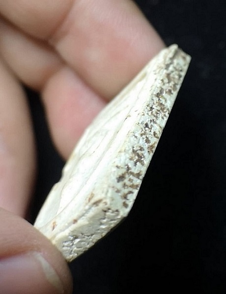 สมเด็จวัดระฆังฯ รุ่น 118 ปี พิมพ์ใหญ่ 