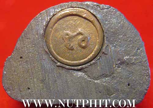 กริ่งหลวงปู่สังข์ วัดตอนตรอ อ.เชียงใหญ่ จ.นครศรีธรรมราช*146