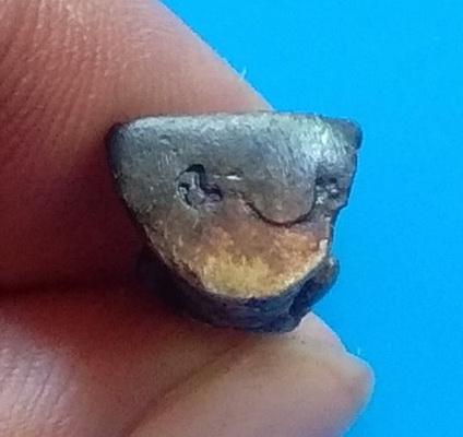 เนื้อเงิน พระกริ่งหลวงพ่อทวด รุ่นสร้างวิหาร วัดทรายขาว จ.ปัตตานี ปี ๒๕๓๗