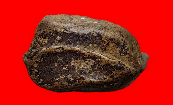 พระคงเขียวคราบเหลืองกรุเก่าเร้าใจร้กเก่าเดิมๆ พระสวยคมชัดสุดคลาสสิค บิ่นเดิมจากกรุตามภาพ