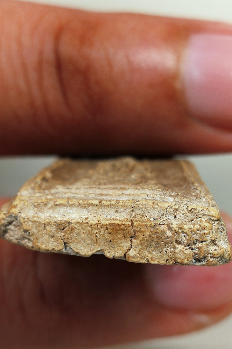 เกษไชโย นอกพิมพ์